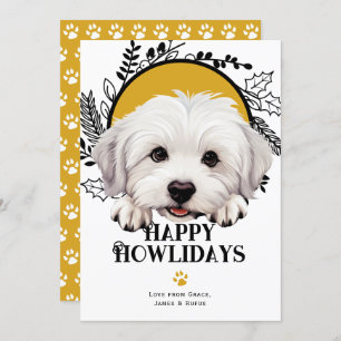 Cartes Pour Fêtes Annuelles Joyeux Howlidays Coton De Tulear Chig Noël