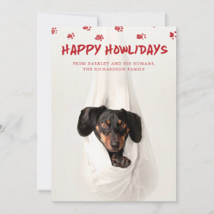 Cartes Pour Fêtes Annuelles Joyeux Howlidays   Jolie photo pour animaux de com