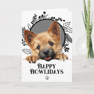 Cartes Pour Fêtes Annuelles Joyeux Howlidays Norwich Terrier Chien Noël 