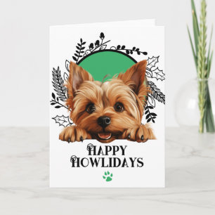 Cartes Pour Fêtes Annuelles Joyeux Howlidays Silky Terrier Chien Noël