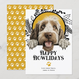 Cartes Pour Fêtes Annuelles Joyeux Howlidays Spinone Italiano Chien Noël