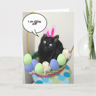 Cartes Pour Fêtes Annuelles Joyeux Humour de Pâques Kitty