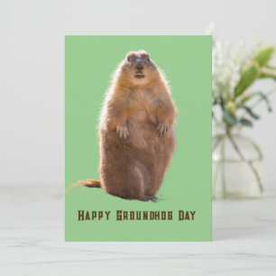 Cartes Pour Fêtes Annuelles Joyeux Jour de marmotte amusant
