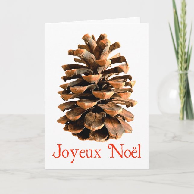 Cartes Pour Fêtes Annuelles Joyeux Noё l - Cône de pin de Jérusalem (Devant)