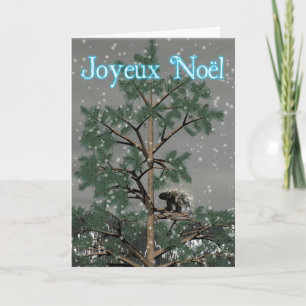 Cartes Pour Fêtes Annuelles Joyeux Noё l - Porcupine Dans Un Pin