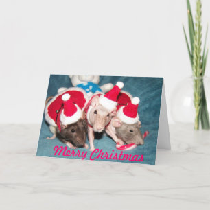 Cartes Pour Fêtes Annuelles Joyeux Noël