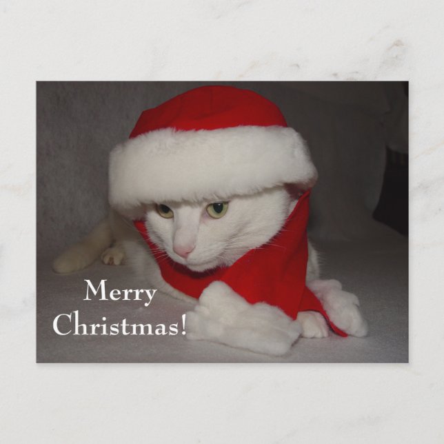 Cartes Pour Fêtes Annuelles Joyeux Noël ! (Devant)