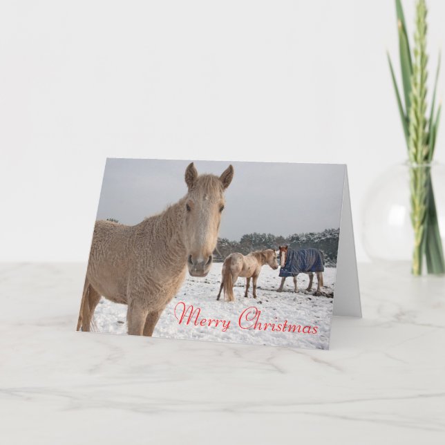 Cartes Pour Fêtes Annuelles Joyeux Noël (Devant)