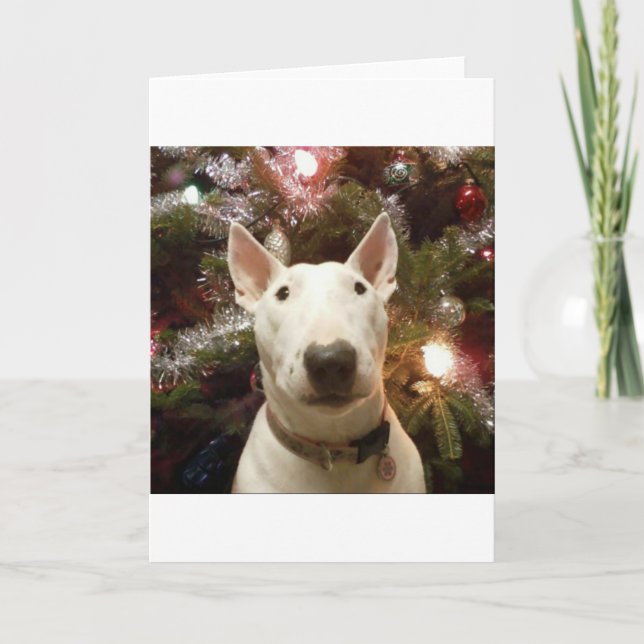 Cartes Pour Fêtes Annuelles Joyeux Noël (Devant)