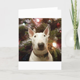 Cartes Pour Fêtes Annuelles Joyeux Noël