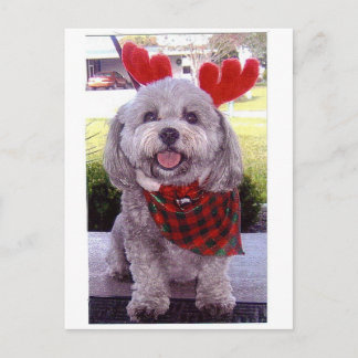 Cartes Pour Fêtes Annuelles Joyeux Noël