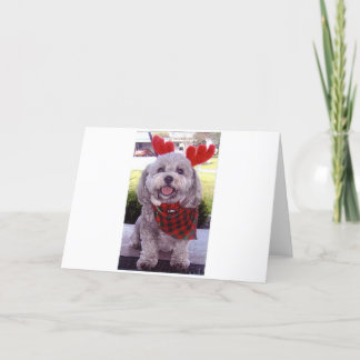 Cartes Pour Fêtes Annuelles Joyeux Noël