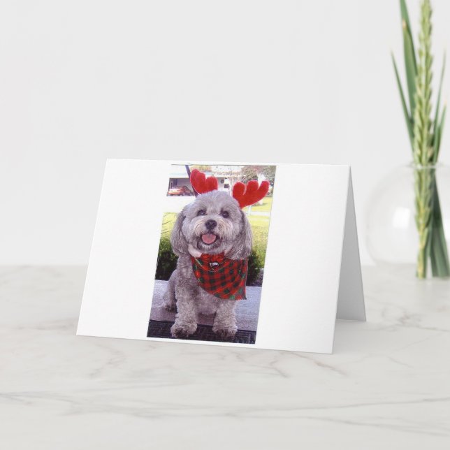 Cartes Pour Fêtes Annuelles Joyeux Noël (Devant)