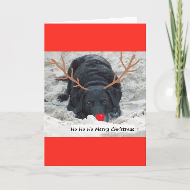 Cartes Pour Fêtes Annuelles Joyeux Noël (Devant)