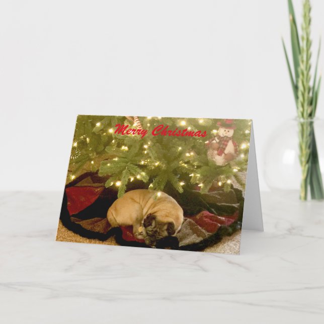 Cartes Pour Fêtes Annuelles Joyeux Noël (Devant)