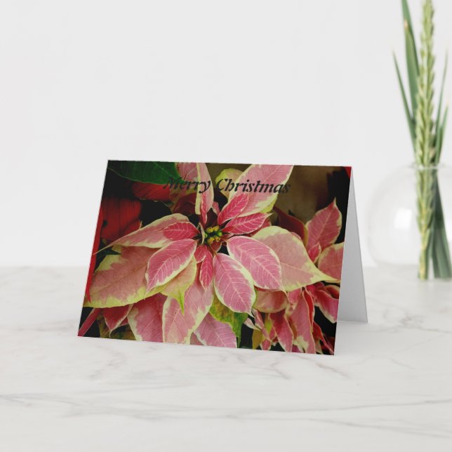 Cartes Pour Fêtes Annuelles Joyeux Noël (Devant)