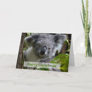 Cartes Pour Fêtes Annuelles Joyeux Noël