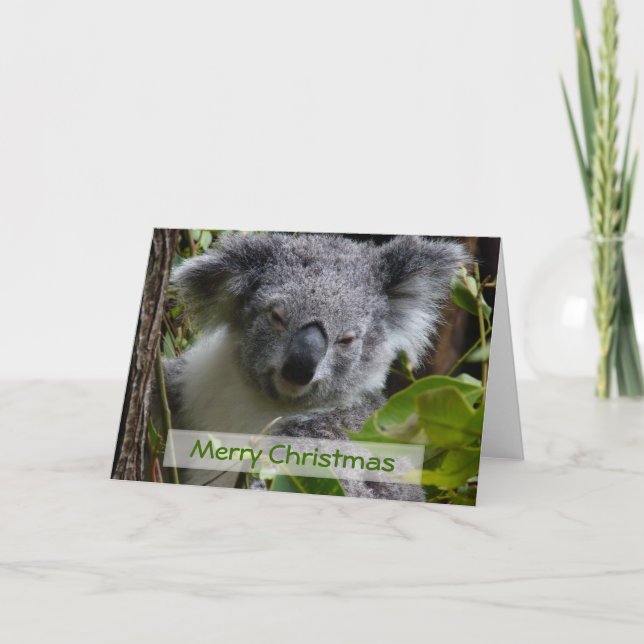 Cartes Pour Fêtes Annuelles Joyeux Noël (Devant)