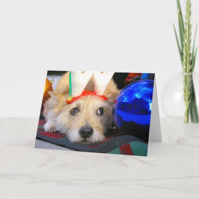 Cartes Pour Fêtes Annuelles Joyeux Noël (Devant)