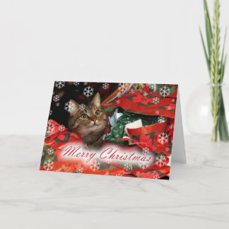 Cartes Pour Fêtes Annuelles Joyeux Noël