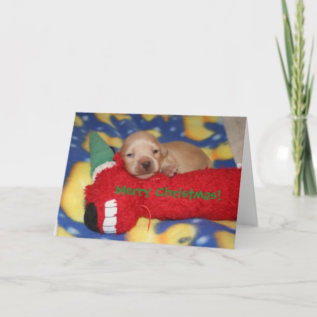 Cartes Pour Fêtes Annuelles Joyeux Noël ! (Devant)