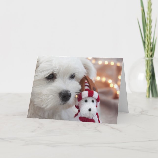 Cartes Pour Fêtes Annuelles Joyeux Noël ! (Devant)