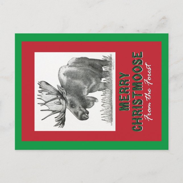 Cartes Pour Fêtes Annuelles Joyeux Noël (Devant)