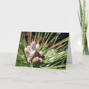 Cartes Pour Fêtes Annuelles Joyeux Noël...