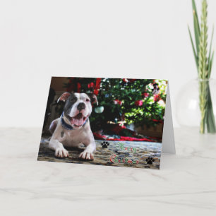 Cartes Pour Fêtes Annuelles Joyeux Noël