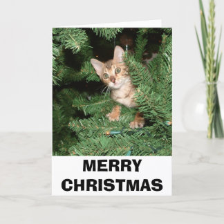 CARTES POUR FÊTES ANNUELLES JOYEUX NOËL