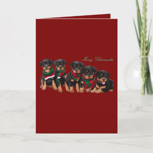 Cartes Pour Fêtes Annuelles Joyeux Noël à la famille canine des Chrismutts