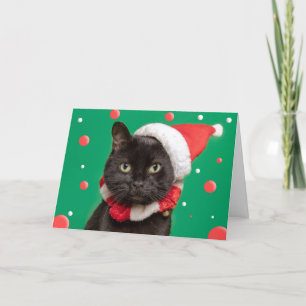 Cartes Pour Fêtes Annuelles Joyeux Noël à tous Drôle de chat dans un chapeau d
