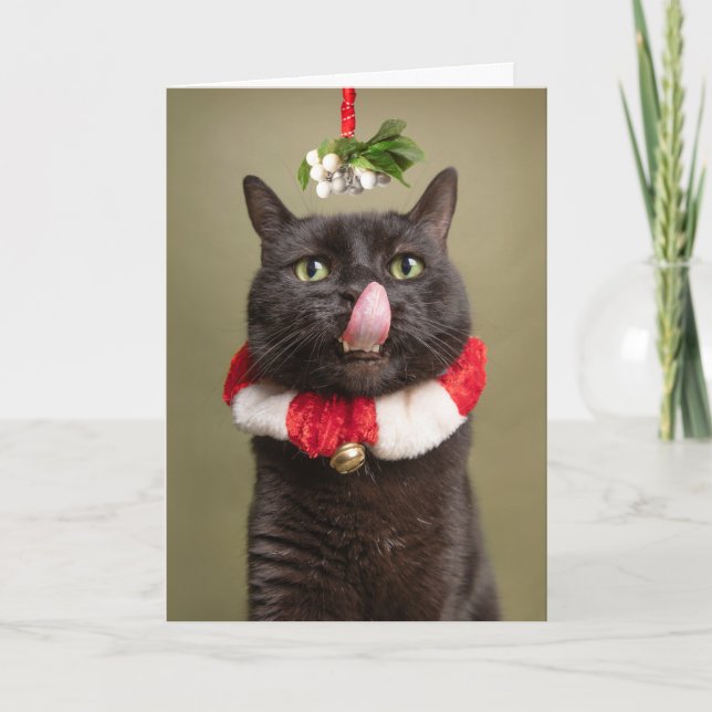 Cartes Pour Fêtes Annuelles Joyeux Noël à tous les chats sous le gui wit (Devant)