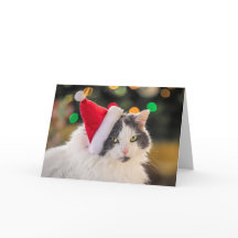 Joyeux Noël à tout chat mignon avec chapeau de Pèr