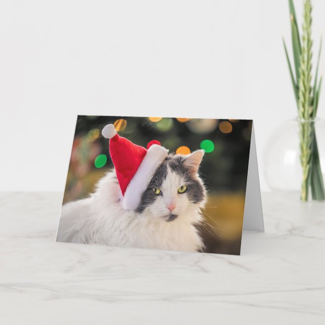Cartes Pour Fêtes Annuelles Joyeux Noël à tout chat mignon avec chapeau de Pèr (Devant)