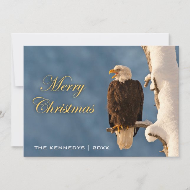Cartes Pour Fêtes Annuelles Joyeux Noël - Aigle chauve perché (Devant)