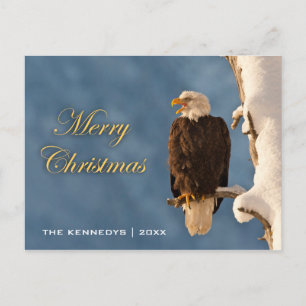 Cartes Pour Fêtes Annuelles Joyeux Noël - Aigle chauve perché