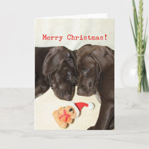 Cartes Pour Fêtes Annuelles Joyeux Noël Allemand Pointer Soeurs