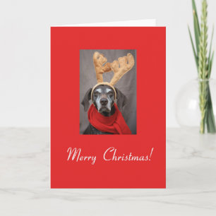 Cartes Pour Fêtes Annuelles Joyeux Noël Allemand Pointeur à cheveux courts