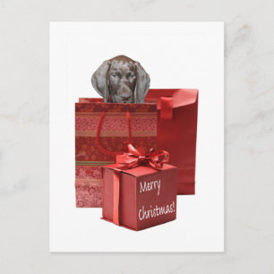 Cartes Pour Fêtes Annuelles Joyeux Noël Allemand pointeur court