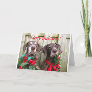 Cartes Pour Fêtes Annuelles Joyeux Noël Allemand pointeur court