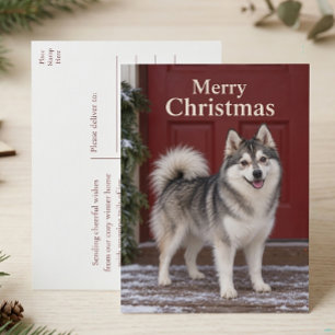 Cartes Pour Fêtes Annuelles Joyeux Noël amateur de chiots Pomsky mignons