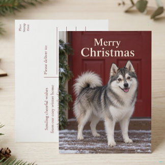 Cartes Pour Fêtes Annuelles Joyeux Noël amateur de chiots Pomsky mignons