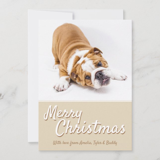 Cartes Pour Fêtes Annuelles Joyeux Noël animal de compagnie chien photo vacanc (Devant)