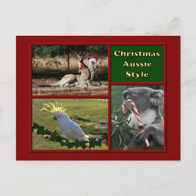 Cartes Pour Fêtes Annuelles Joyeux Noël Aussie Animaux (Devant)