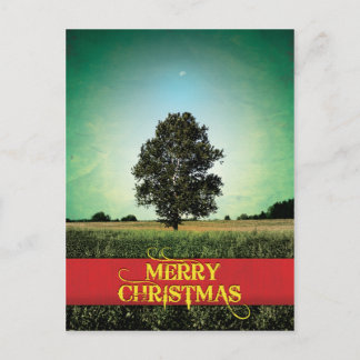 Cartes Pour Fêtes Annuelles Joyeux Noël - Aux Cieux