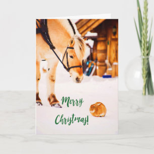 Cartes Pour Fêtes Annuelles Joyeux Noël avec cheval mignon et lapin dans la ne