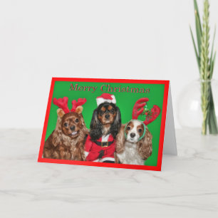 Cartes Pour Fêtes Annuelles Joyeux Noël avec trois King Charles Spaniels