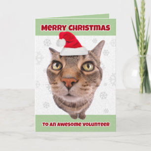 Cartes Pour Fêtes Annuelles Joyeux Noël Bénévole Chat au Chapeau de Père Noël