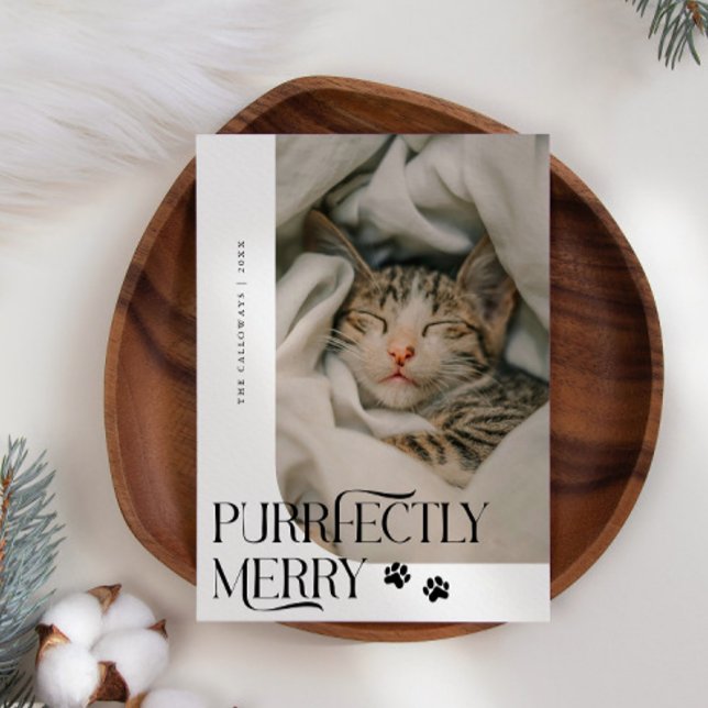 Cartes Pour Fêtes Annuelles Joyeux Noël blanc photo de chat (Créateur téléchargé)